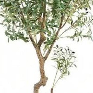 HomeRoots 8" Green Artificial Olive Tree in Stylish Black Cement Pot – Low-Maintenance Home Décor Accent 655618