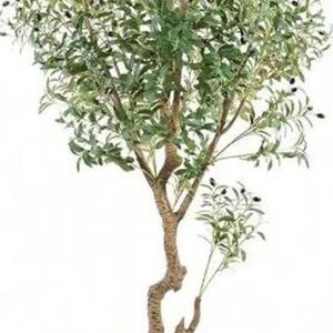 HomeRoots 8" Green Artificial Olive Tree in Stylish Black Cement Pot – Low-Maintenance Home Décor Accent 655618
