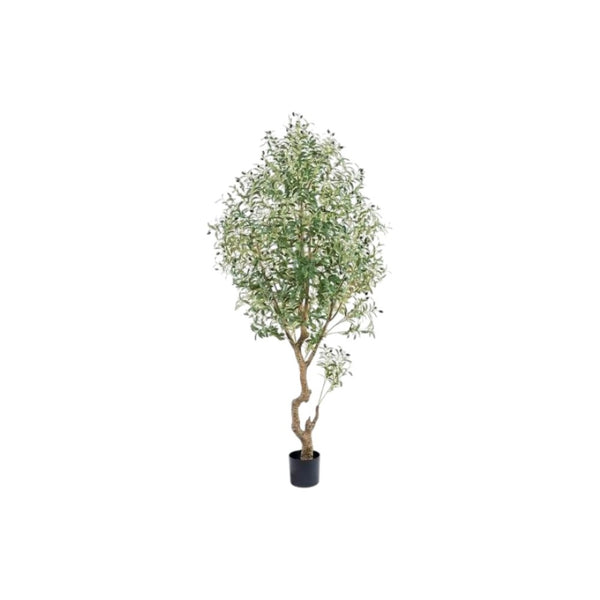 HomeRoots 8" Green Artificial Olive Tree in Stylish Black Cement Pot – Low-Maintenance Home Décor Accent 655618
