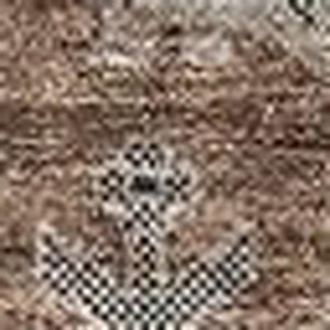 HomeRoots 10' X 14' Washable Oriental Area Rug in Rust Gray & Charcoal – Durable, Stain Resistant & UV Protected 656669