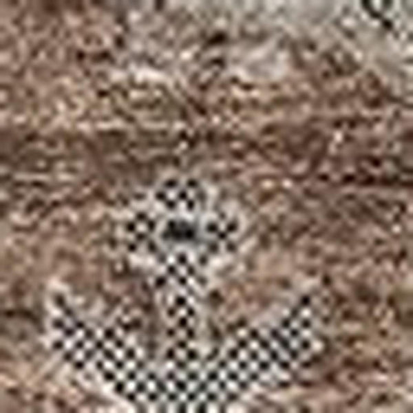 HomeRoots 10' X 14' Washable Oriental Area Rug in Rust Gray & Charcoal – Durable, Stain Resistant & UV Protected 656669