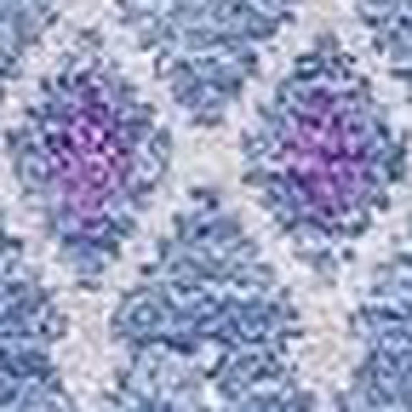 HomeRoots 10' Sky Blue & Ivory Tribal Washable Area Rug - Durable, UV-Protected, Perfect for Kids & Pets! 657185