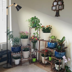 English Elm Grow Lights For Indoor Plants - Full Spectrum 20W Cob Led With Timer, Adjustable Height & Angle W2738P185439