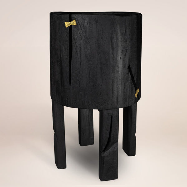 HomeRoots Black Wood Pot Planter - Elegant Indoor Display for Plants, Modern Design, Perfect Gift for Nature Lovers 659057