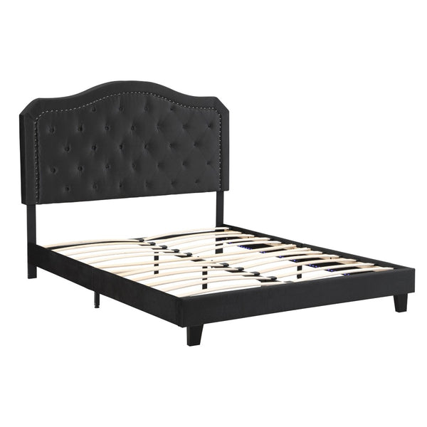English Elm Upholstered Queen Bed Black Velvet Tufted Headboard with Led Ambient Lighting W311P237227