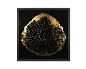 Sunpan TIME LINES Set of 4 Framed Art Panels - 30" Charcoal Frames with Gold Leaf Tree Ring Designs A0325