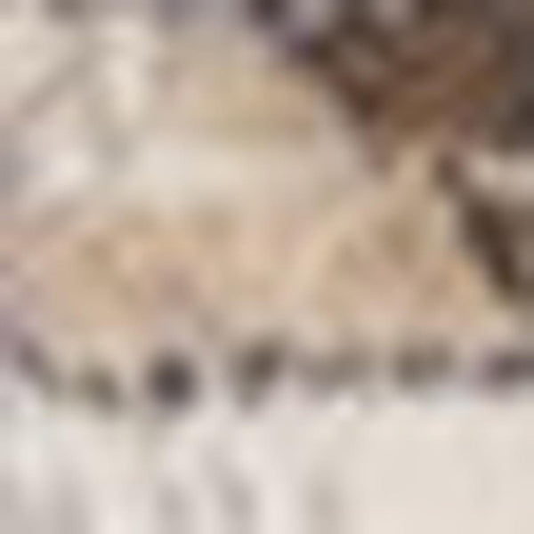 HomeRoots 5' Ivory Gray and Brown Medallion Area Rug - Durable, Stain-Resistant, Soft Addition to Any Room 5' X 8' 660094