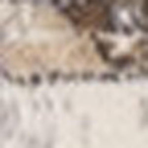 HomeRoots 5' Ivory Gray and Brown Medallion Area Rug - Durable, Stain-Resistant, Soft Addition to Any Room 5' X 8' 660094