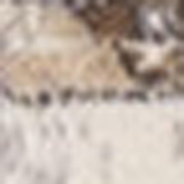 HomeRoots 5' Ivory Gray and Brown Medallion Area Rug - Durable, Stain-Resistant, Soft Addition to Any Room 5' X 8' 660094