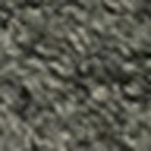 HomeRoots 4' Dark Green Area Rug - Stylish, Durable, and Stain-Resistant for High-Traffic Living Spaces 4' X 6' 660123