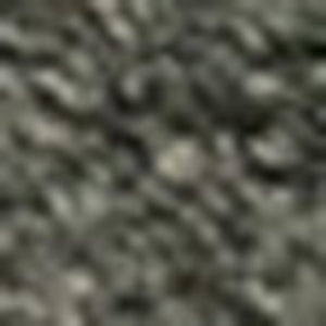 HomeRoots 4' Dark Green Area Rug - Stylish, Durable, and Stain-Resistant for High-Traffic Living Spaces 5' X 8' 660124