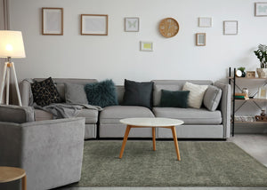 HomeRoots 4' Dark Green Area Rug - Stylish, Durable, and Stain-Resistant for High-Traffic Living Spaces 5' X 8' 660124