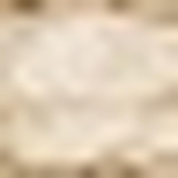HomeRoots 5' Hand Woven Beige Area Rug - Elegant, Durable, Stain-Resistant Design for High-Traffic Homes 5' X 8' 660259