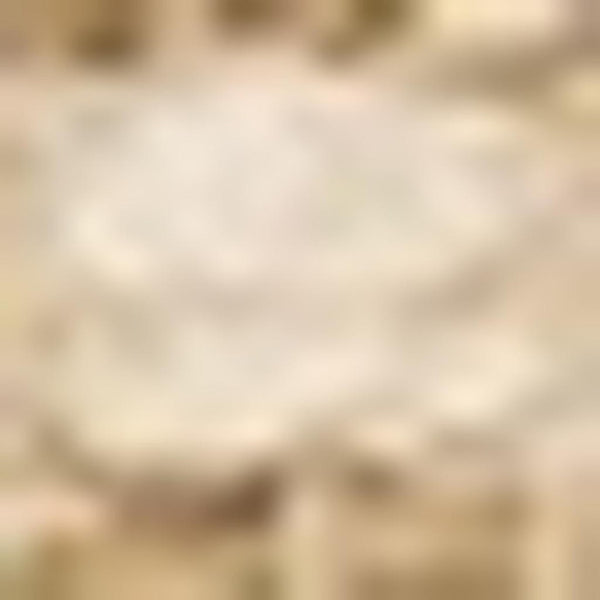 HomeRoots 5' Hand Woven Beige Area Rug - Elegant, Durable, Stain-Resistant Design for High-Traffic Homes 5' X 8' 660259
