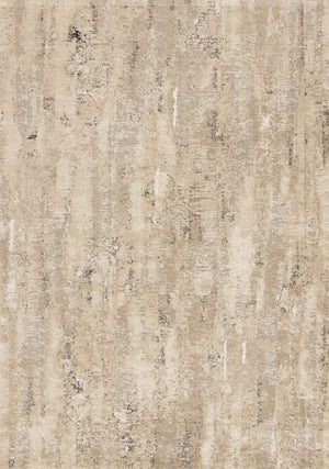 HomeRoots 5' Modern Beige and Black Area Rug - Durable, Stain-Resistant Design for Stylish Home Décor 5' X 8' 660261