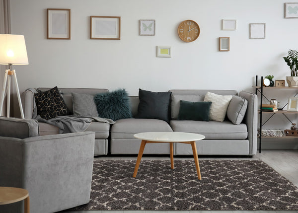 HomeRoots 5' Gray and Cream Ogee Area Rug – Stylish, Durable, Stain-Resistant, Perfect for Modern Living Spaces 8' X 11' 660272