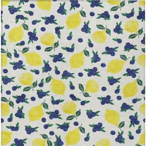 HomeRoots 9' X 12' Lemons Pattern Washable Area Rug – Durable Indoor/Outdoor Carpet for Stylish Spaces 661139