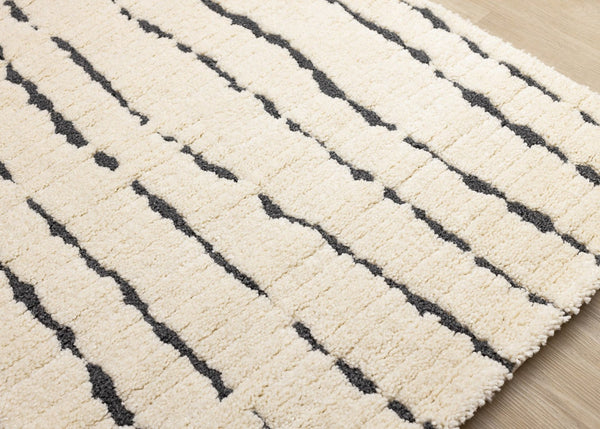HomeRoots 5' Cream and Black Striped Area Rug - Plush, Durable, Modern Design for Cozy Living Spaces 5' X 8' 661269