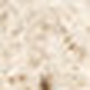 HomeRoots 5' Modern Cream and Beige Abstract Area Rug - Plush, Stain-Resistant Design for Any Room Style 5' X 8' 661293