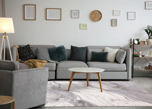 HomeRoots 5' Modern Gray and Off-White Abstract Area Rug – Durable, Stain-Resistant, Stylish Home Centerpiece 7' X 10' 661329