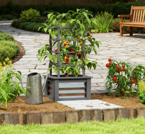 English Elm Versatile Raised Garden Bed with Trellis Fir Wood Galvanized Steel Patio Planter T3971P422655