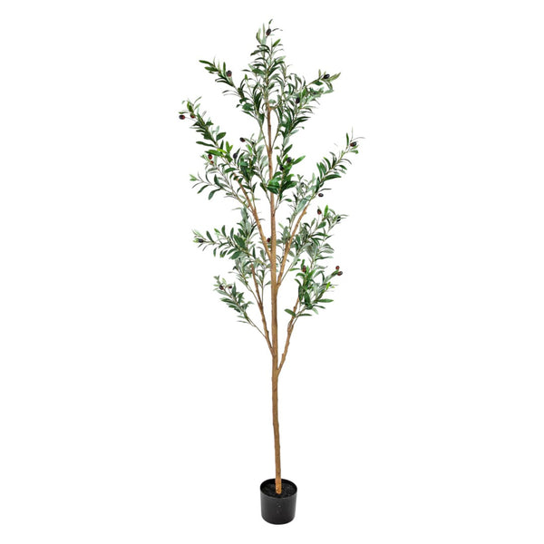 HomeRoots Set of Two 72" Lifelike Green Artificial Olive Trees in Elegant Black Pots for Stylish Decor 664531