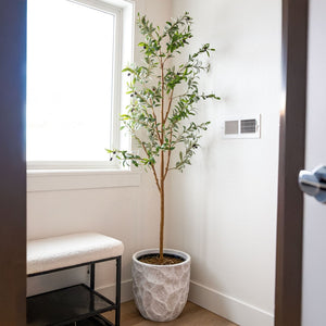 HomeRoots Set of Two 72" Lifelike Green Artificial Olive Trees in Elegant Black Pots for Stylish Decor 664531