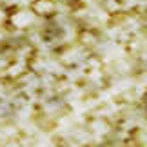 HomeRoots 10' Gold and Ivory Floral Washable Area Rug - Durable, Stain-Resistant, UV Protected for Any Room 665338