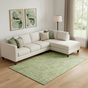 HomeRoots 8' X 10' Sage and Green Southwestern Washable Area Rug - Durable, UV-Protected, Ideal for Busy Homes! 665437