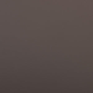 Baxton Studio Baxton Studio Rockford Modern Taupe Leather Dining Chairs Set of 2 – Stylish, Durable & Comfortable ALC-1025-Taupe