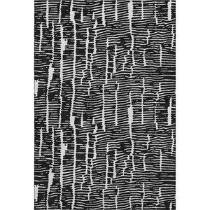 HomeRoots 10' X 14' Black and Ivory Washable Area Rug – Durable, Stylish, Stain-Resistant with UV Protection! 666842