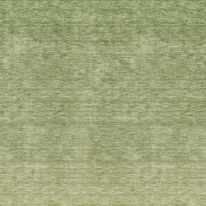 HomeRoots 9' X 12' Green and Gray Ombre Area Rug - Stylish, Washable, UV-Protected, Perfect for Family Homes 666913