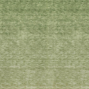 HomeRoots 10' X 14' Green Ombre Area Rug - Washable, UV-Protected, Stain Resistant for Modern Living Spaces 666914