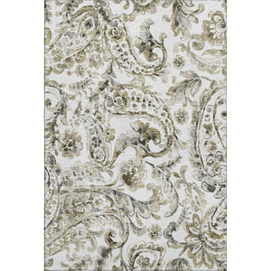 HomeRoots 8' X 10' Brown & Ivory Paisley Area Rug - Stain-Resistant, UV Protected, Durable & Stylish Décor Piece 666984