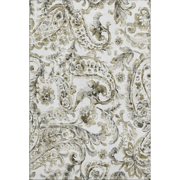 HomeRoots 8' X 10' Brown & Ivory Paisley Area Rug - Stain-Resistant, UV Protected, Durable & Stylish Décor Piece 666984