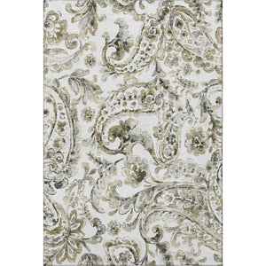 HomeRoots 9' X 12' Brown and Ivory Paisley Area Rug - Washable, UV-Protected, Perfect for Homes with Kids & Pets 666985