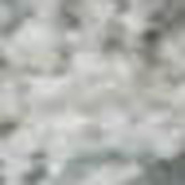 HomeRoots 10' X 14' Elegant Silver Gray & Gold Floral Area Rug - Washable, UV Protected, Pet-Friendly Design 667945