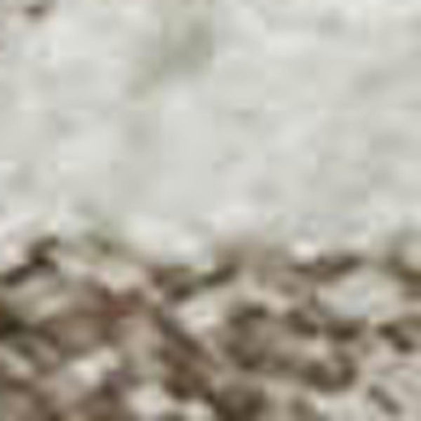 HomeRoots 10' X 14' Ivory and Beige Medallion Area Rug - Washable, UV-Protected, Perfect for Busy Homes! 668059