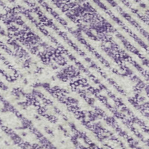 HomeRoots 8' X 10' Stylish Purple & Ivory Striped Washable Area Rug with UV Protection for High-Traffic Rooms 668359