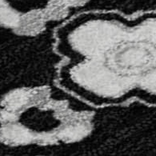 HomeRoots 9' X 12' Black and Ivory Medallion Area Rug – Washable, UV Protected & Ideal for Busy Homes! 669840
