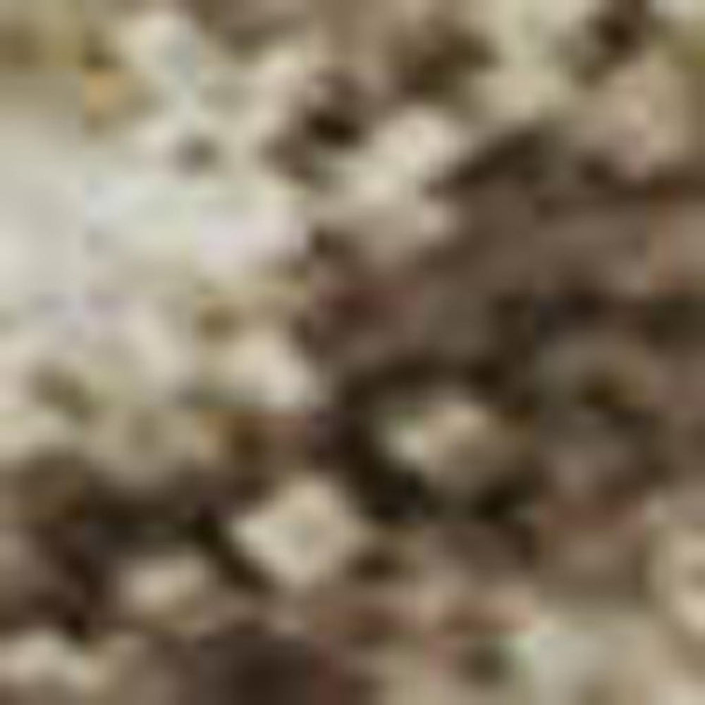 HomeRoots 9' X 12' Chevron Area Rug in Brown & Beige - Modern, Washable, UV-Protected, Stain-Resistant Design! 669942