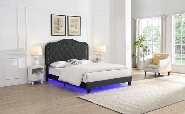 English Elm Upholstered Diamond Button Tufted Platform Bed with Velvet, LED Ambient Lighting, Sturdy Slats Black 65.75 L x 34.43 W x 4.72 H W2297P268385