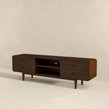 English Elm Ashcroft Furniture - Alexa Mid Century Modern Style Tv Stand