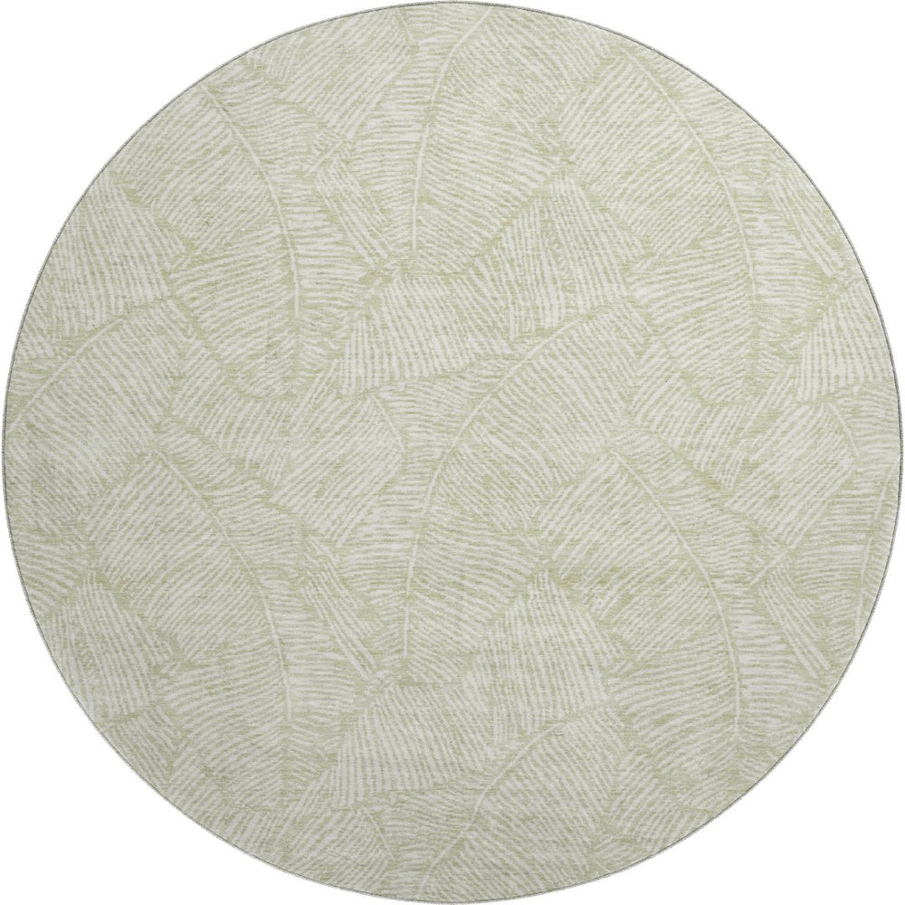 HomeRoots 8' Artichoke Green & Ivory Floral Round Rug - Washable, UV-Protected & Stain-Resistant for Versatile Style 672578