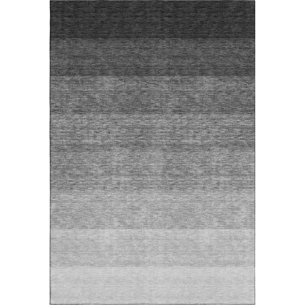 HomeRoots 5' Black & Gray Ombre Washable Area Rug - Stylish, Durable, UV Protected for Modern Homes & Pets 673767
