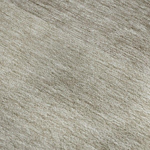 HomeRoots 8' X 10' Ombre Washable Area Rug in Brown & Beige - UV Protected, Durable, Stylish Home Accent 673781
