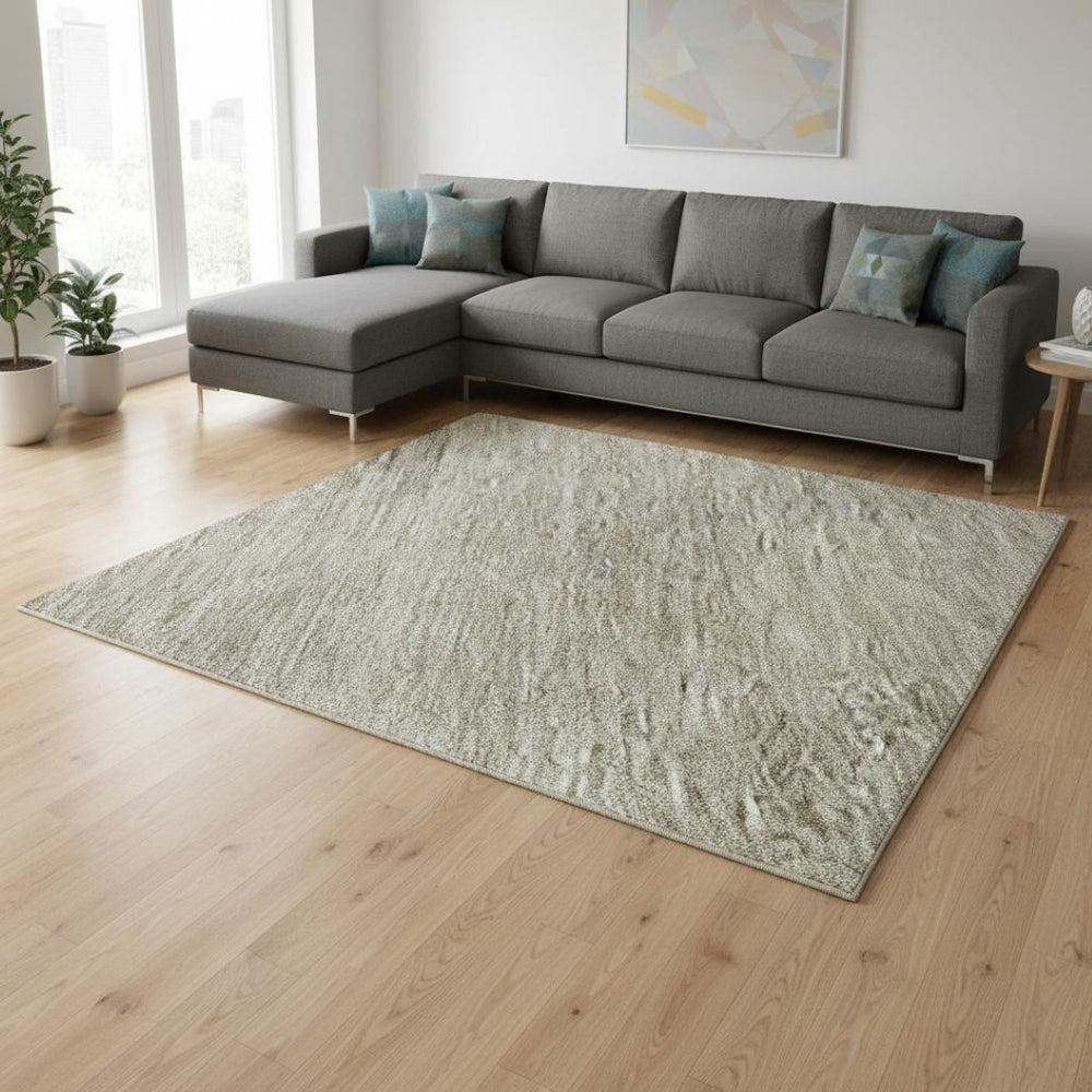 HomeRoots 10' Brown & Beige Ombre Washable Area Rug – UV Resistant, Durable, Stain-Repellent Design for Modern Homes 673783