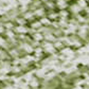 HomeRoots 10' X 14' Green Ombre Area Rug - Washable, UV Protected, Soft, Stylish & Perfect for High-Traffic Areas 673795