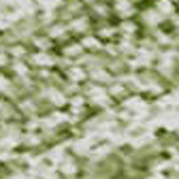 HomeRoots 10' X 14' Green Ombre Area Rug - Washable, UV Protected, Soft, Stylish & Perfect for High-Traffic Areas 673795