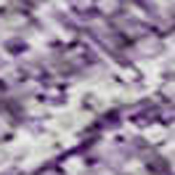 HomeRoots 9' X 12' Purple Ombre Area Rug - Soft, Durable, UV-Protected, Stain-Resistant for Modern Living Spaces 673812
